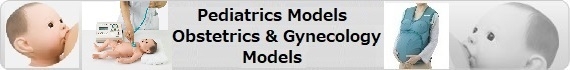 Pediatrics/Obstetrics&Gynecology Models