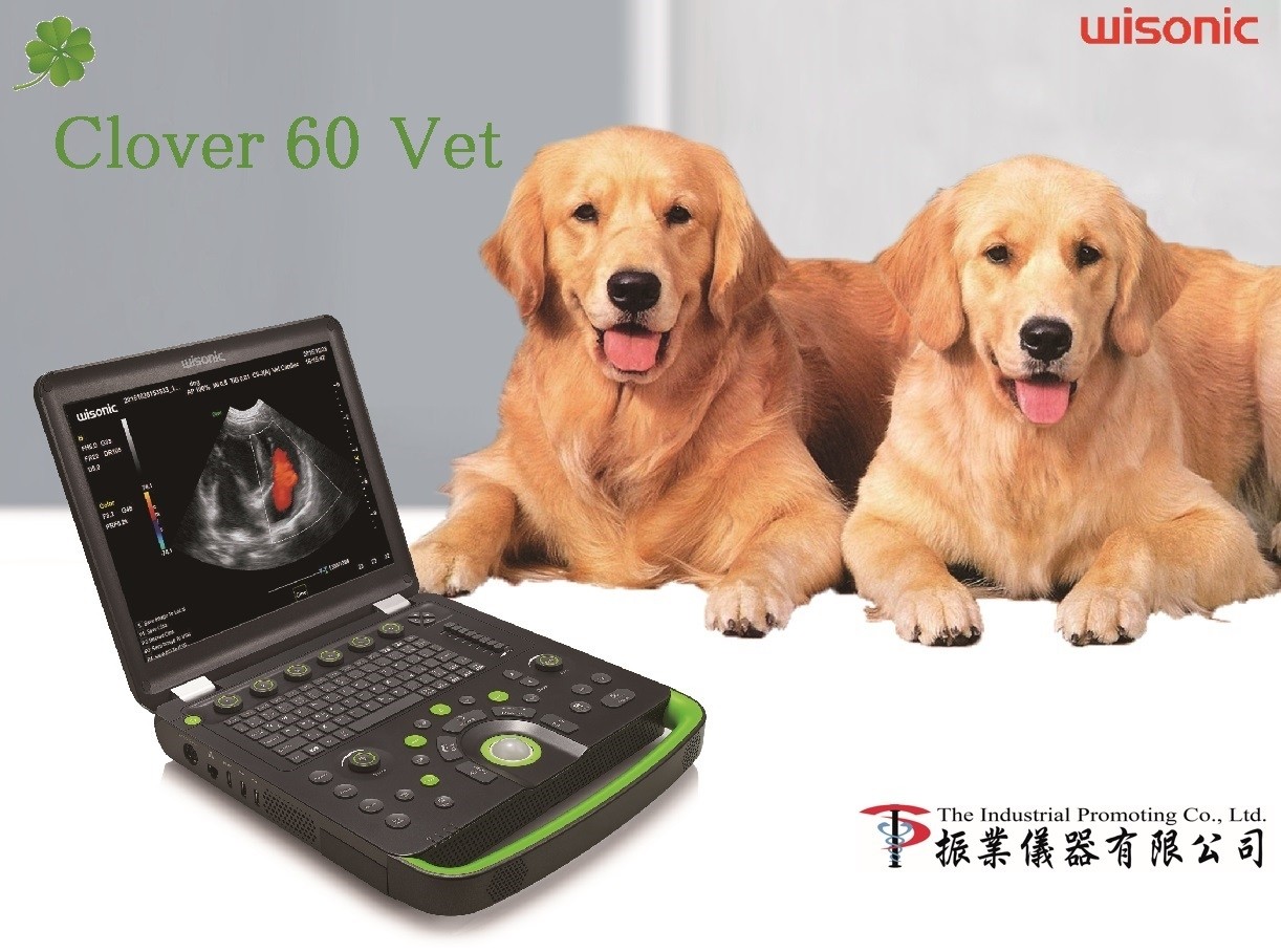 Portable Vet UltraSound