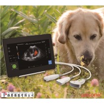 Vet UltraSound