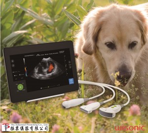 Vet UltraSound