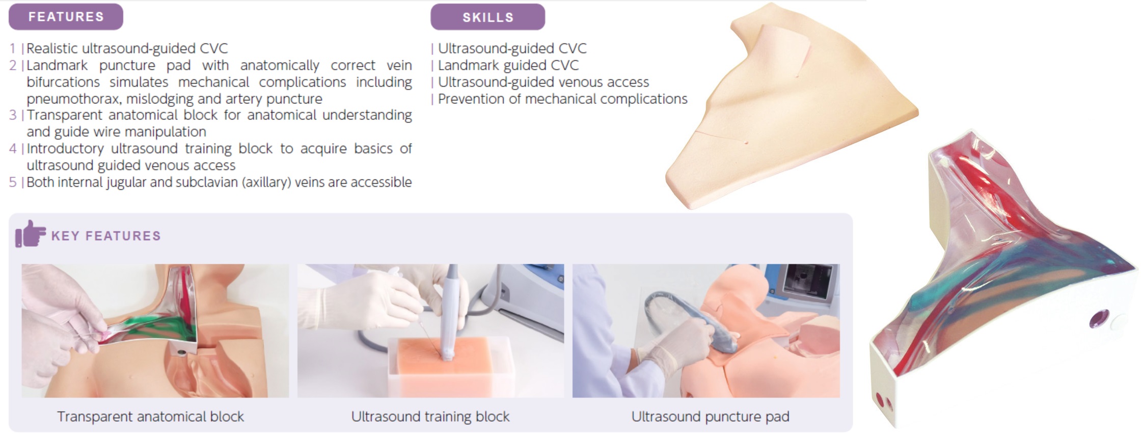 cvc insertion simulator 