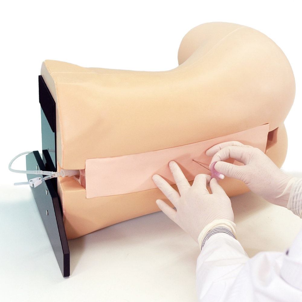 Photo: Epidural Puncture Simulator