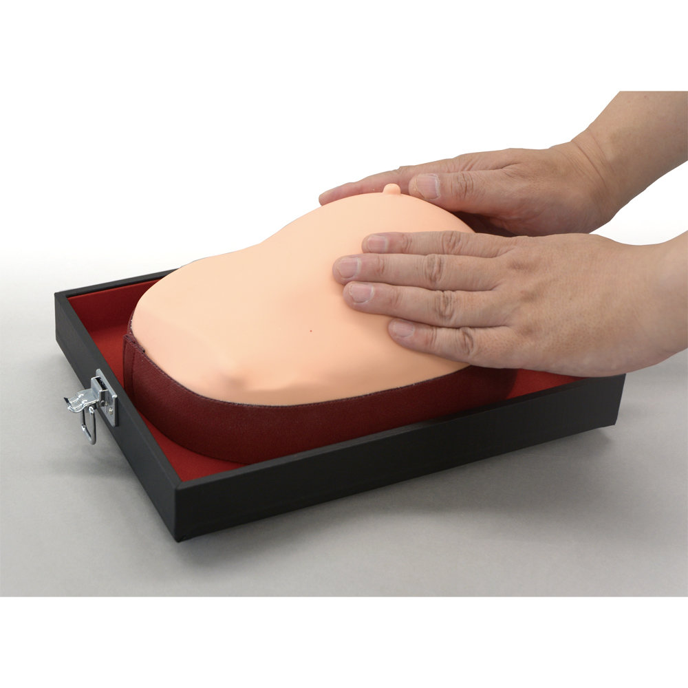 Photo: Visual-Tactile Breast Examination Model