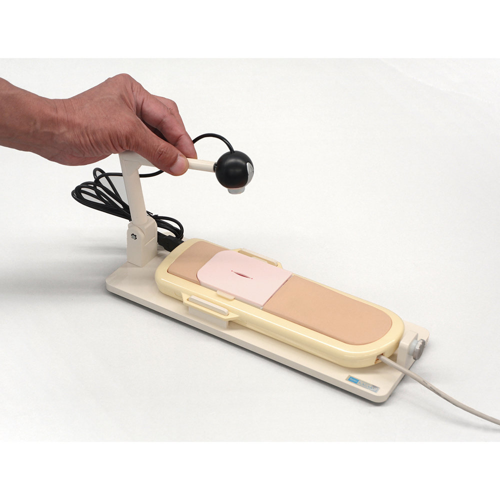 Photo: Lumbar Puncture Simulator Ⅱ