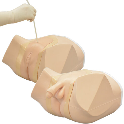 Difficult Airway Management Simulator